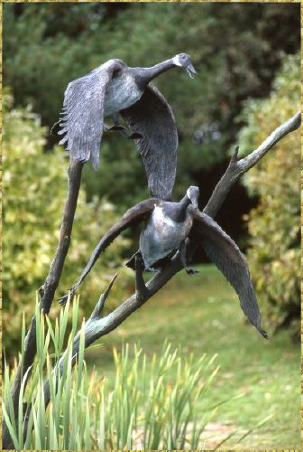 Canadian Geese Pair